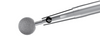 Bur trans-nasal do crânio