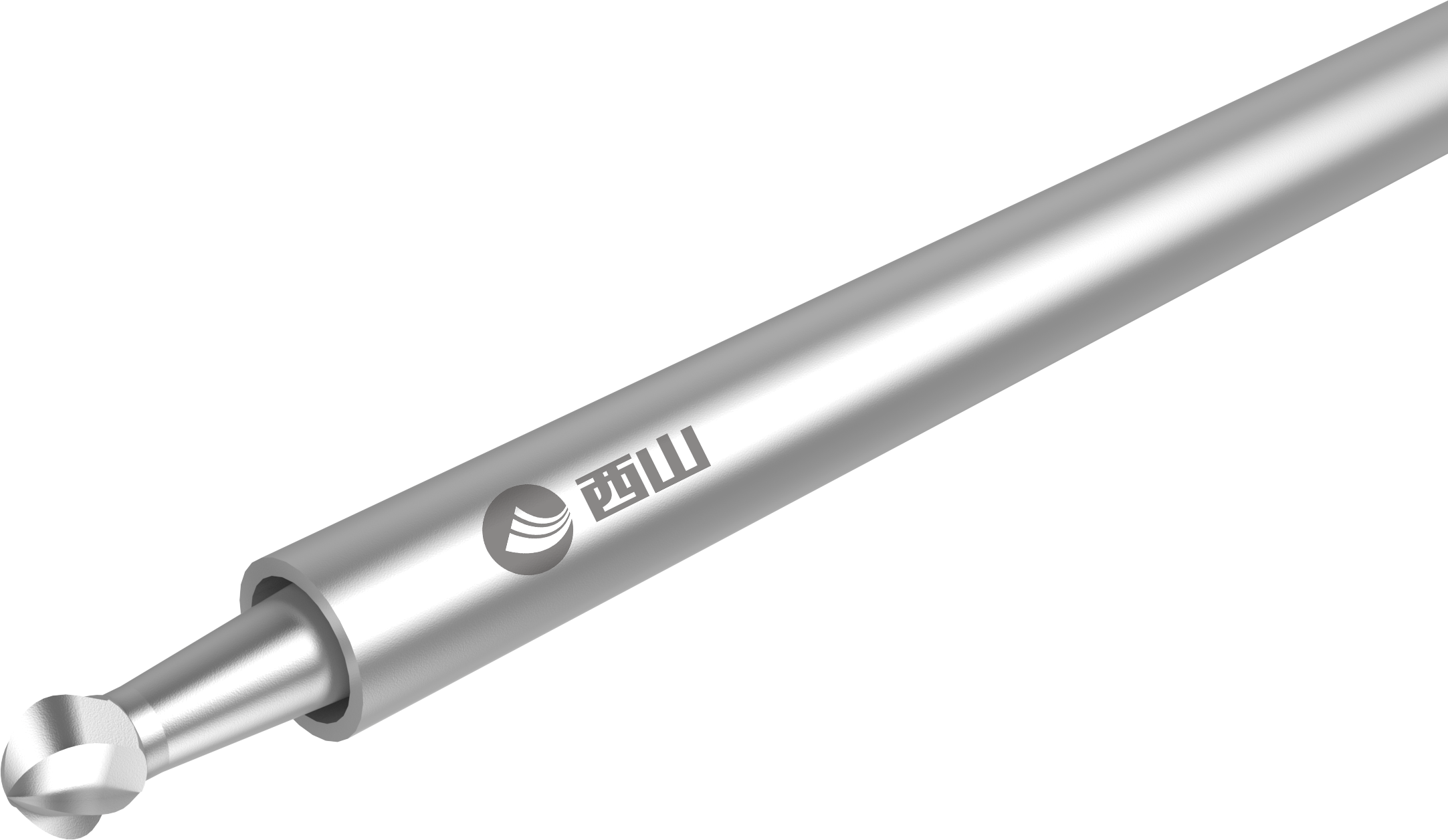 Bur da coluna vertebral