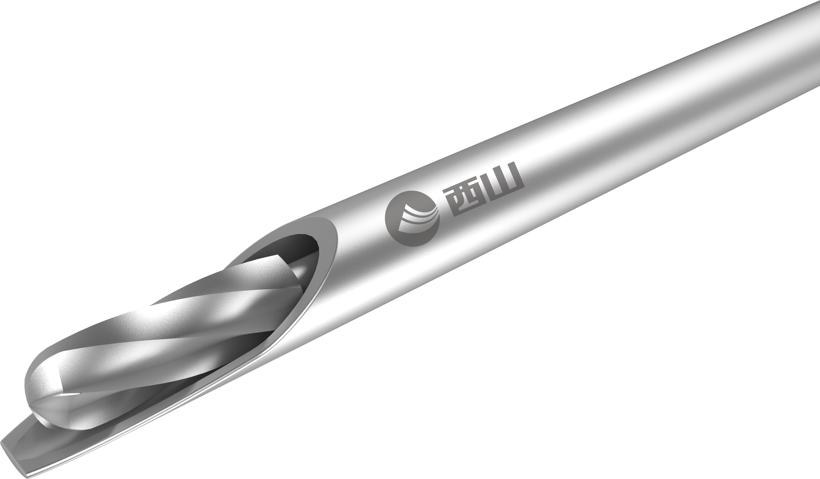 Bur da coluna vertebral