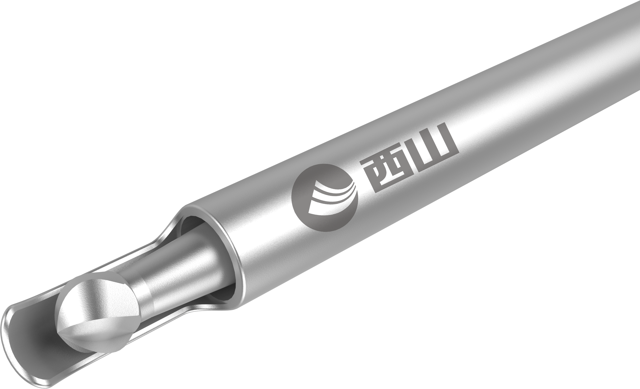 Bur da coluna vertebral