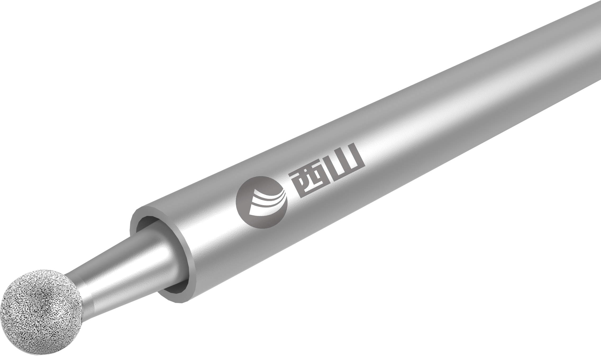 Bur da coluna vertebral