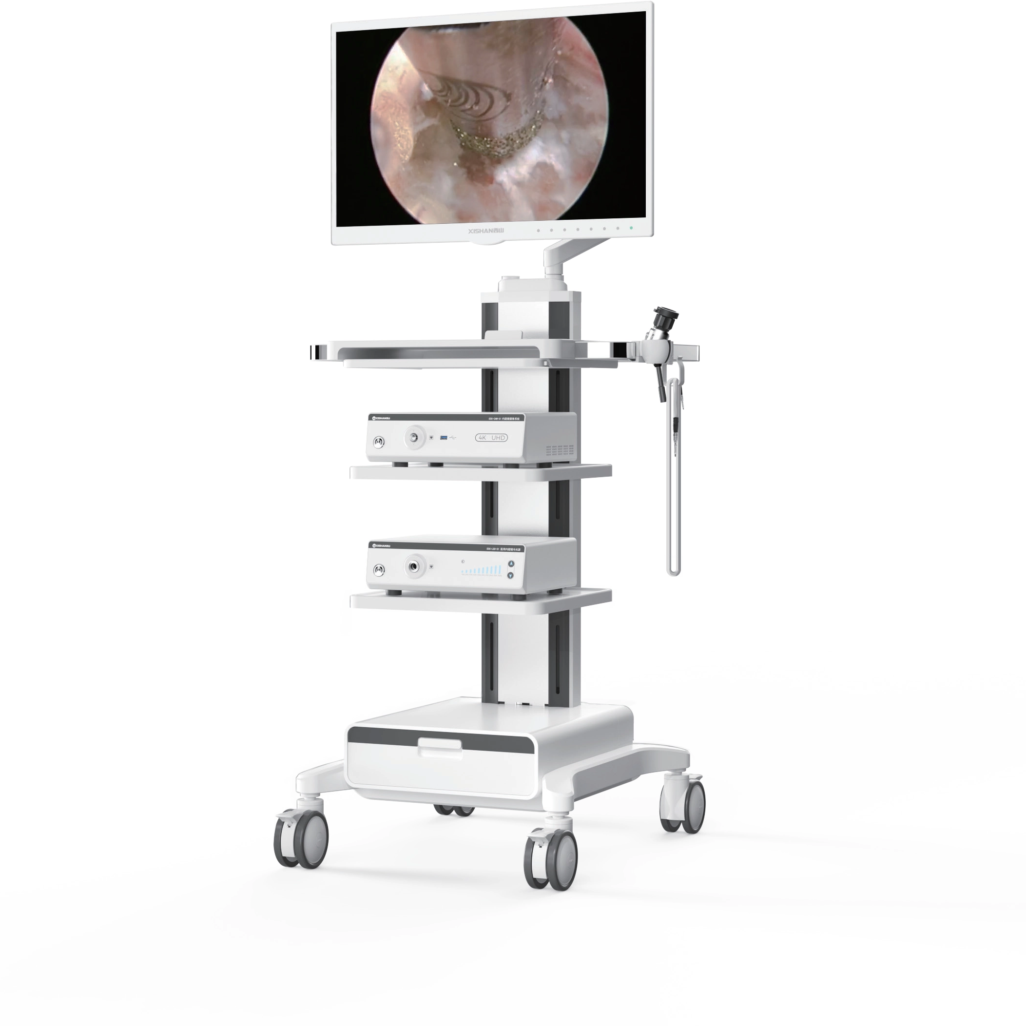 Sistema de endoscopia UHD em 4K